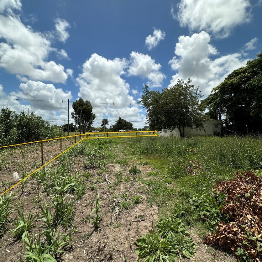 Terreno ID.42 - Venta Terreno Colonia Nicolich Con Casa A Reciclar De 1.333m2