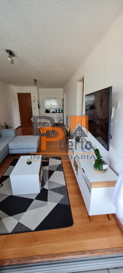 Apartamento ID.30 - Apto. ideal para invertir sobre Avda. Roosevelt con contrato de alquiler vigente.