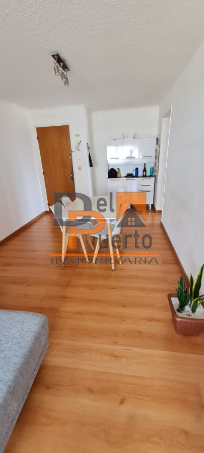 Apartamento ID.30 - Apto. ideal para invertir sobre Avda. Roosevelt con contrato de alquiler vigente.