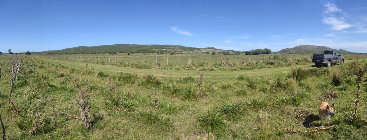CHACRA EN AIGUÁ CON MÚLTIPLES POSIBILIDADES