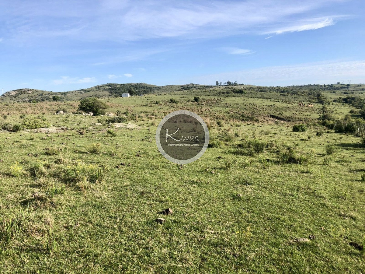 Chacra ID.530 - Chacra en venta Las cañas Maldonado 3 hectareas