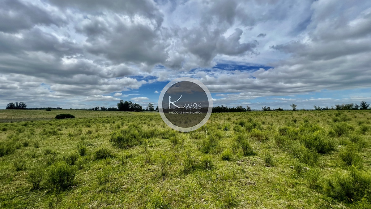 Chacra ID.723 - Chacra en venta camino de los ceibos 7 hectareas y media