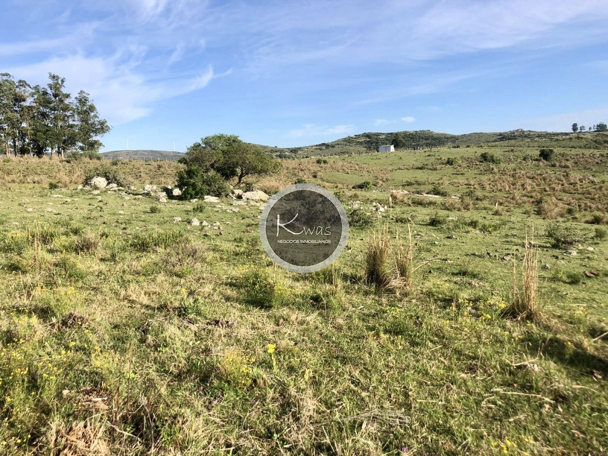 Chacra ID.530 - Chacra en venta Las cañas Maldonado 3 hectareas