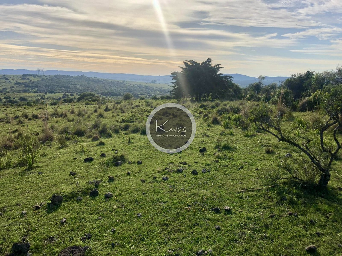 Chacra ID.530 - Chacra en venta Las cañas Maldonado 3 hectareas