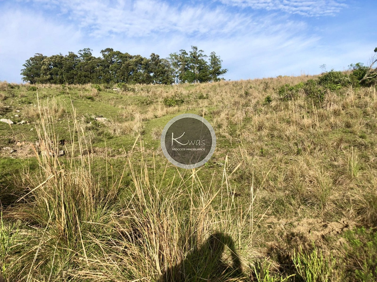 Chacra ID.530 - Chacra en venta Las cañas Maldonado 3 hectareas