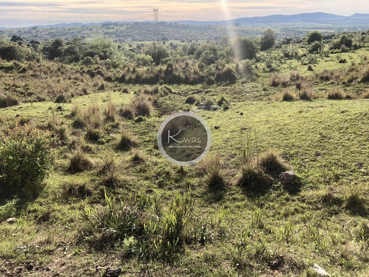 Chacra ID.530 - Chacra en venta Las cañas Maldonado 3 hectareas