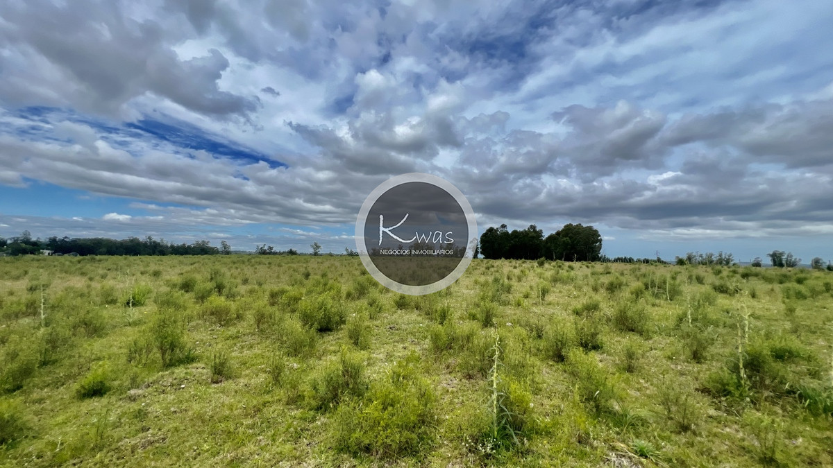 Chacra ID.723 - Chacra en venta camino de los ceibos 7 hectareas y media