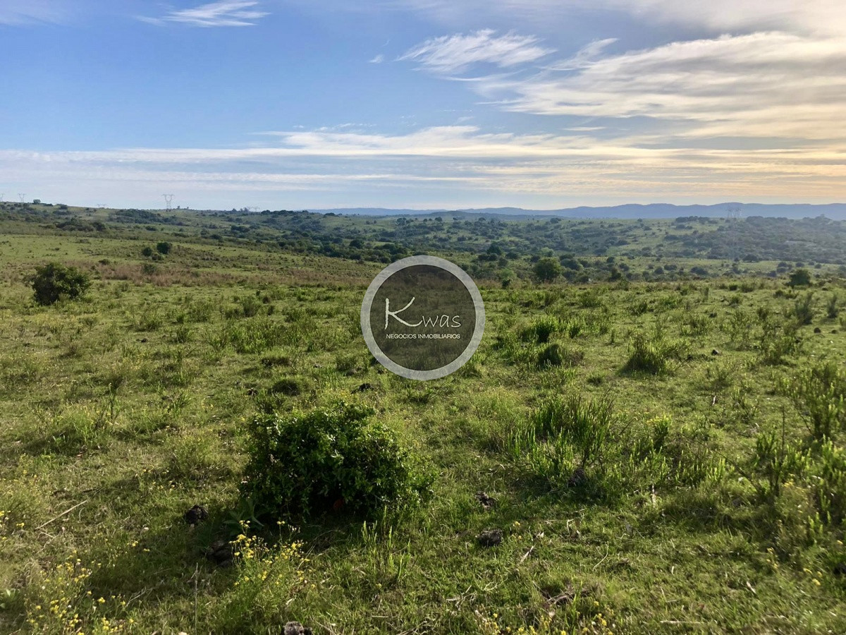 Chacra ID.530 - Chacra en venta Las cañas Maldonado 3 hectareas