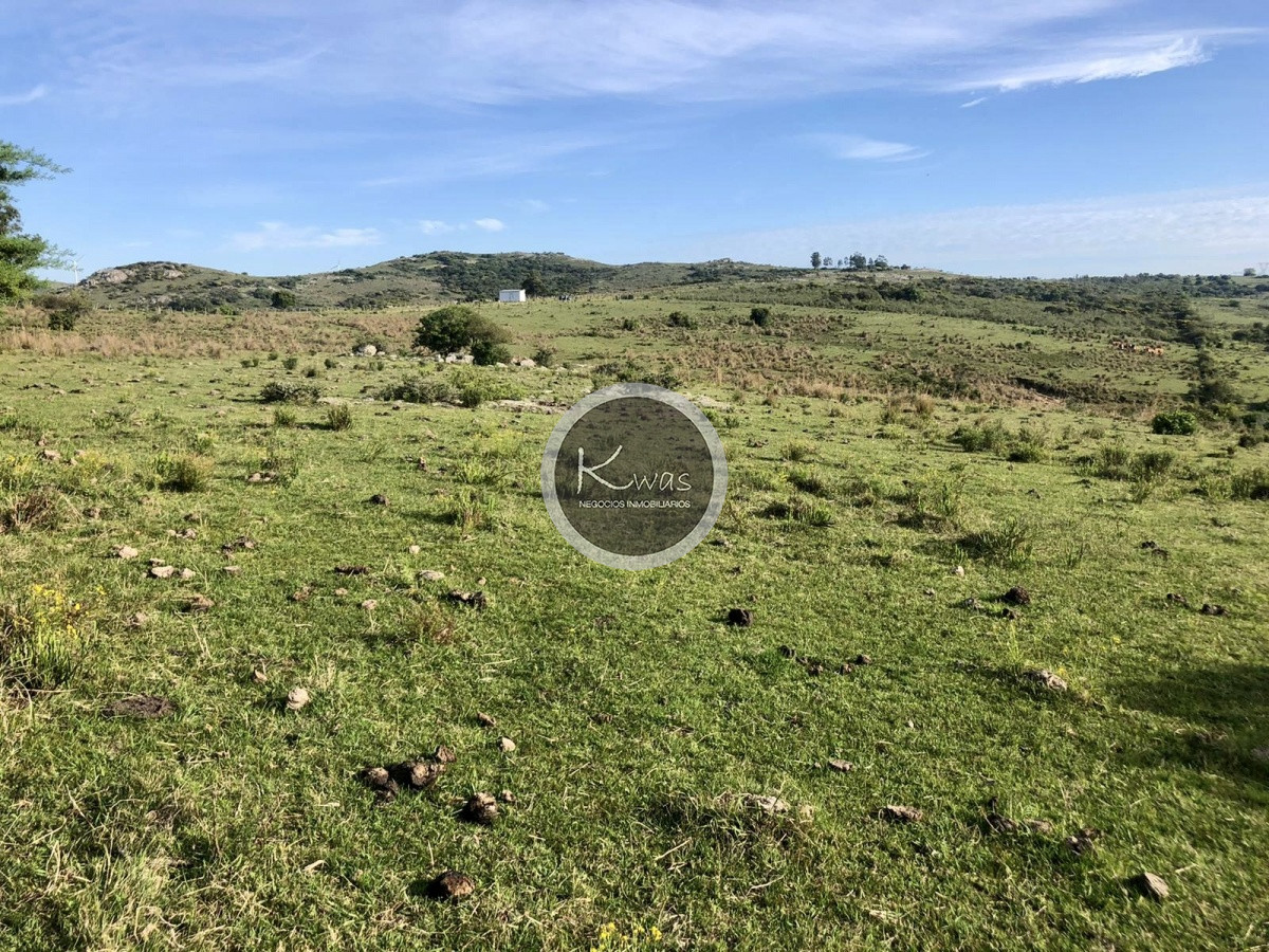 Chacra ID.530 - Chacra en venta Las cañas Maldonado 3 hectareas