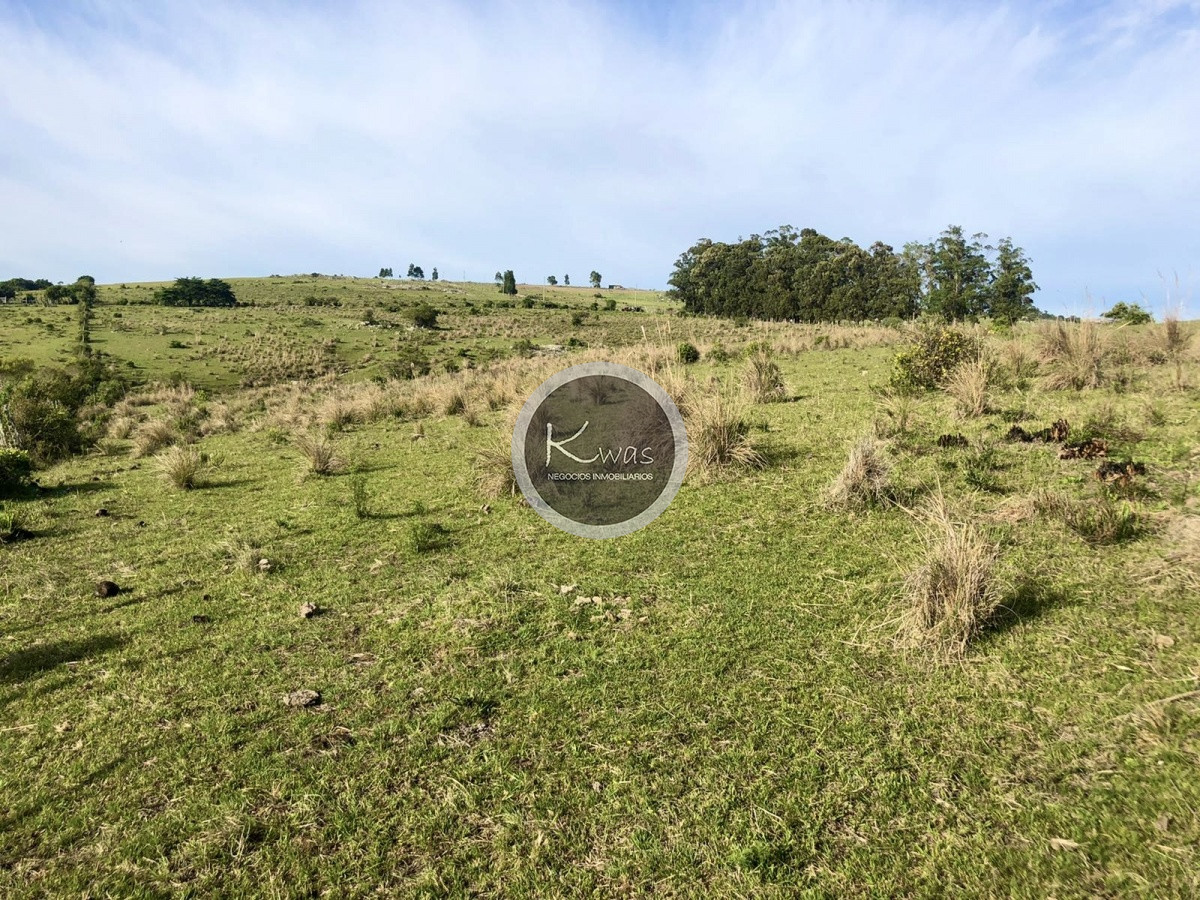 Chacra ID.530 - Chacra en venta Las cañas Maldonado 3 hectareas