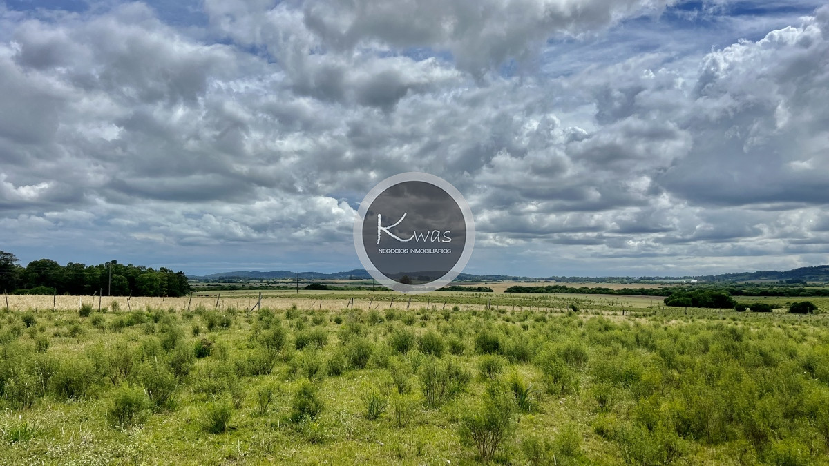 Chacra ID.723 - Chacra en venta camino de los ceibos 7 hectareas y media