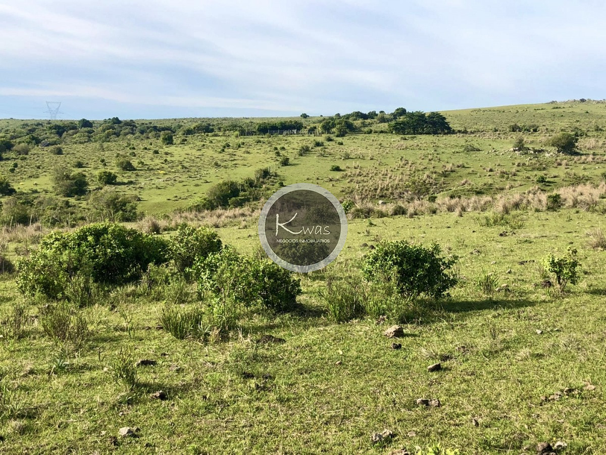 Chacra ID.530 - Chacra en venta Las cañas Maldonado 3 hectareas