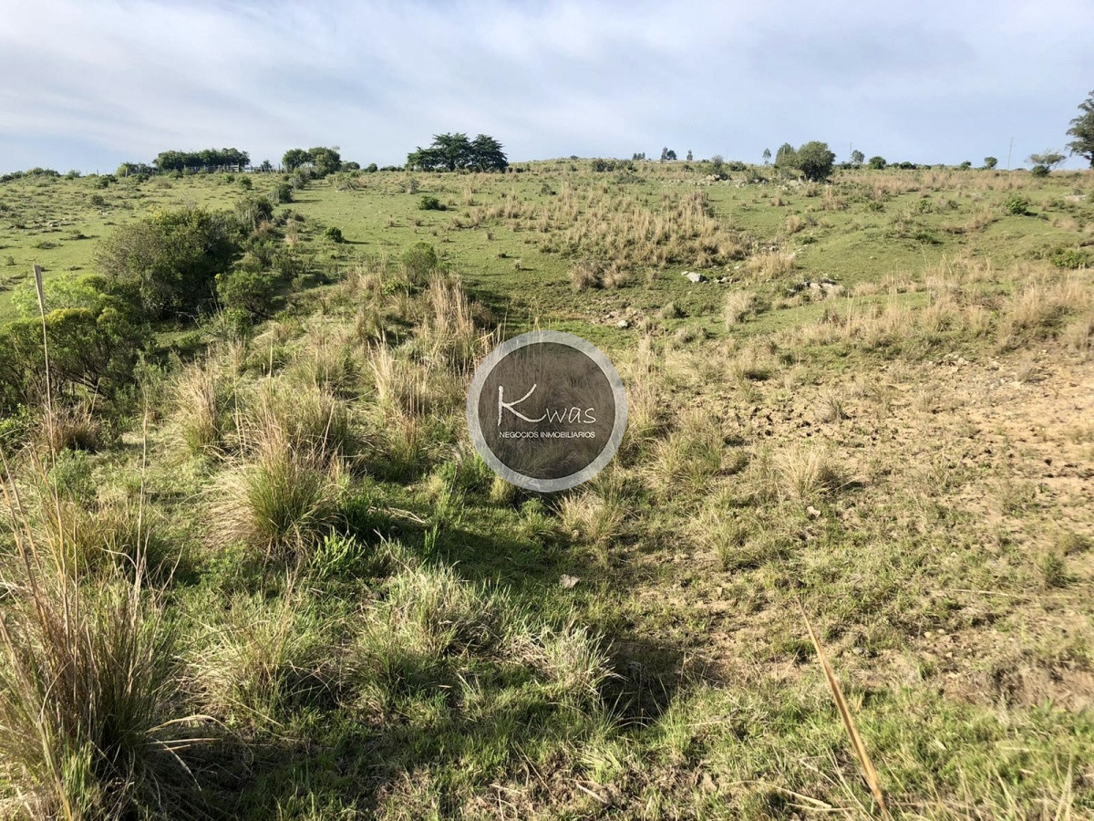 Chacra ID.530 - Chacra en venta Las cañas Maldonado 3 hectareas