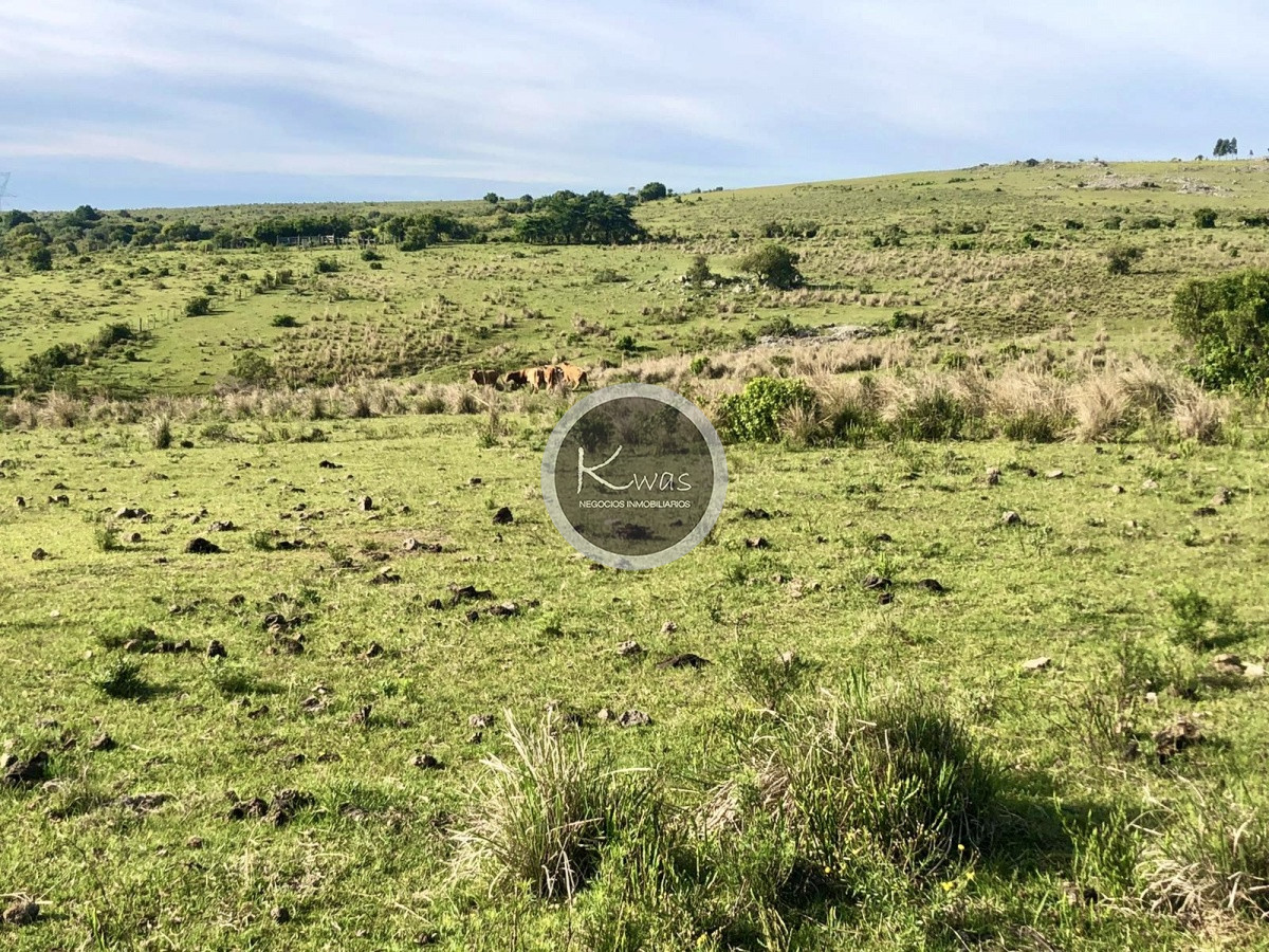 Chacra ID.530 - Chacra en venta Las cañas Maldonado 3 hectareas