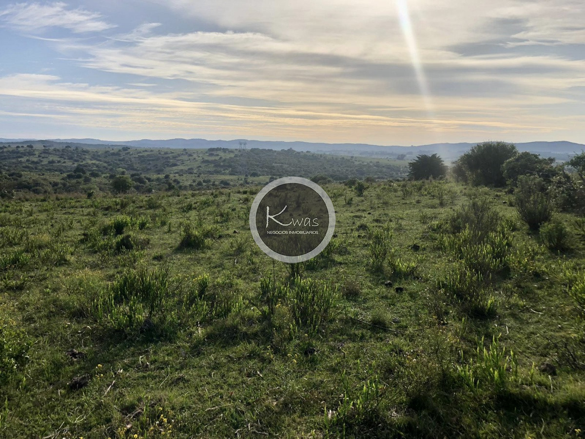 Chacra ID.530 - Chacra en venta Las cañas Maldonado 3 hectareas
