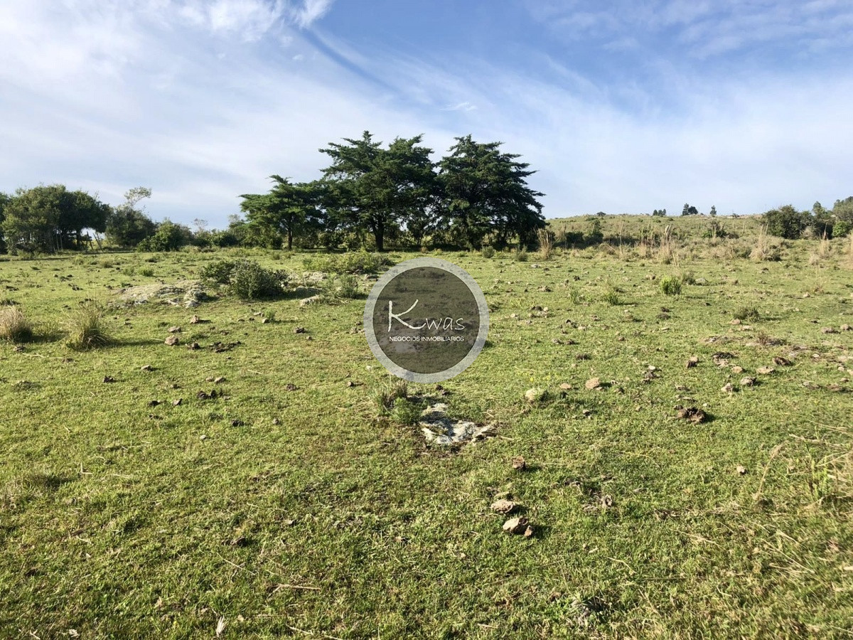 Chacra ID.530 - Chacra en venta Las cañas Maldonado 3 hectareas