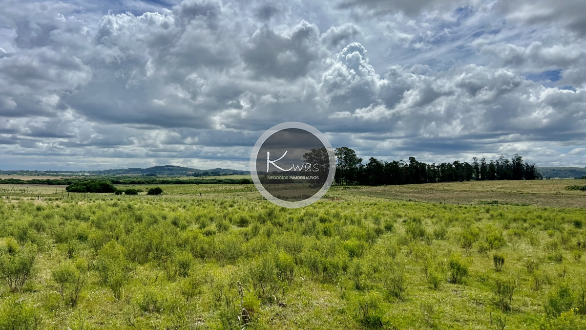 Chacra ID.723 - Chacra en venta camino de los ceibos 7 hectareas y media