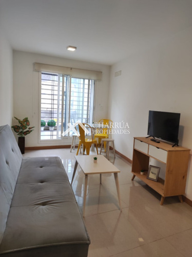 Apartamento ID.56 - Se Alquila Apartamento De 1 Dormitorio Amoblado Con Gran Terraza
