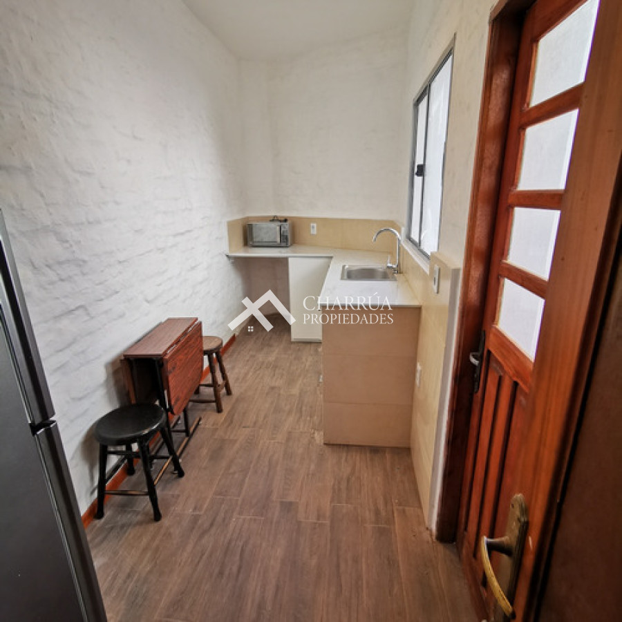 Apartamento ID.68 - Apartamento 1 Dormitorio Con Patio Amueblado, Parque batlle