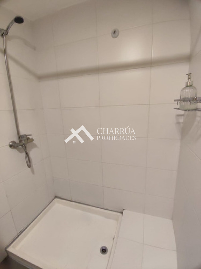 Apartamento ID.56 - Se Alquila Apartamento De 1 Dormitorio Amoblado Con Gran Terraza