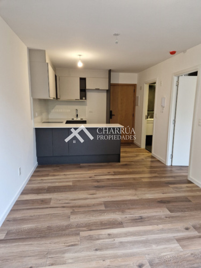 Apartamento ID.54 - Se Alquila Hermoso Apartamendo De 1 Dormitorio en Pocitos