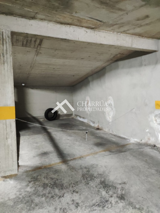 Apartamento ID.56 - Se Alquila Apartamento De 1 Dormitorio Amoblado Con Gran Terraza