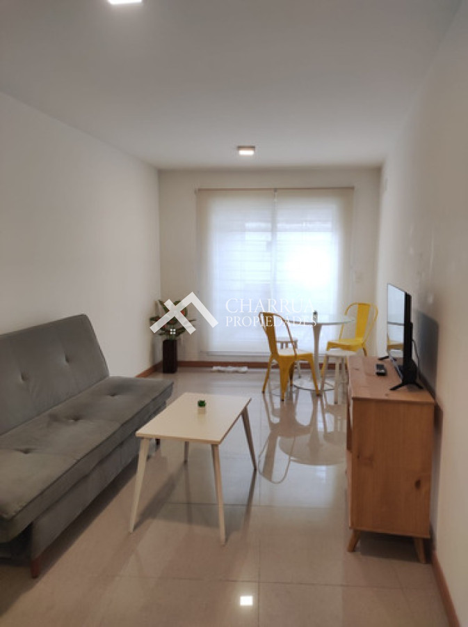 Apartamento ID.56 - Se Alquila Apartamento De 1 Dormitorio Amoblado Con Gran Terraza