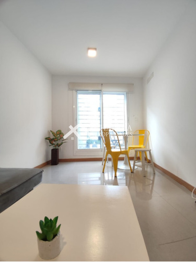 Apartamento ID.56 - Se Alquila Apartamento De 1 Dormitorio Amoblado Con Gran Terraza