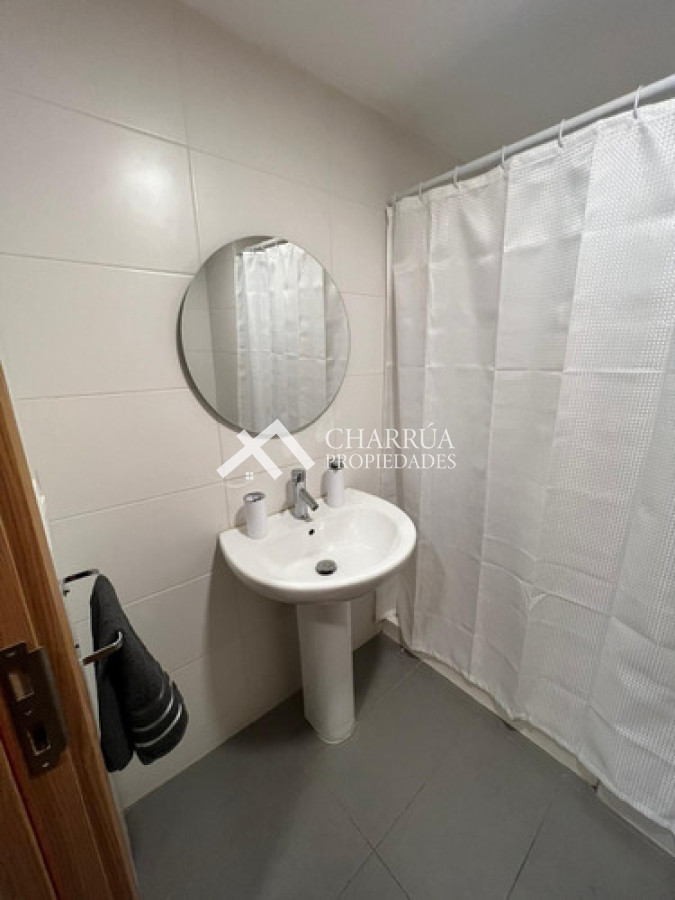 Apartamento ID.56 - Se Alquila Apartamento De 1 Dormitorio Amoblado Con Gran Terraza