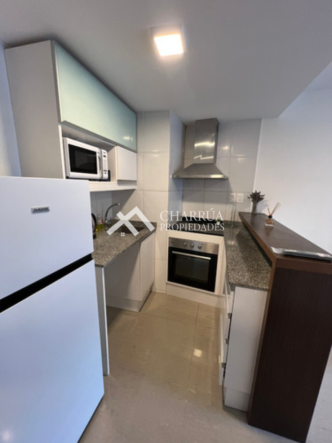 Apartamento ID.56 - Se Alquila Apartamento De 1 Dormitorio Amoblado Con Gran Terraza