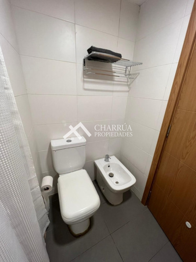 Apartamento ID.56 - Se Alquila Apartamento De 1 Dormitorio Amoblado Con Gran Terraza
