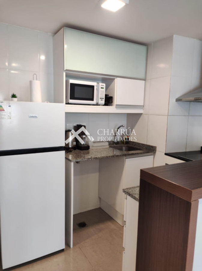 Apartamento ID.56 - Se Alquila Apartamento De 1 Dormitorio Amoblado Con Gran Terraza