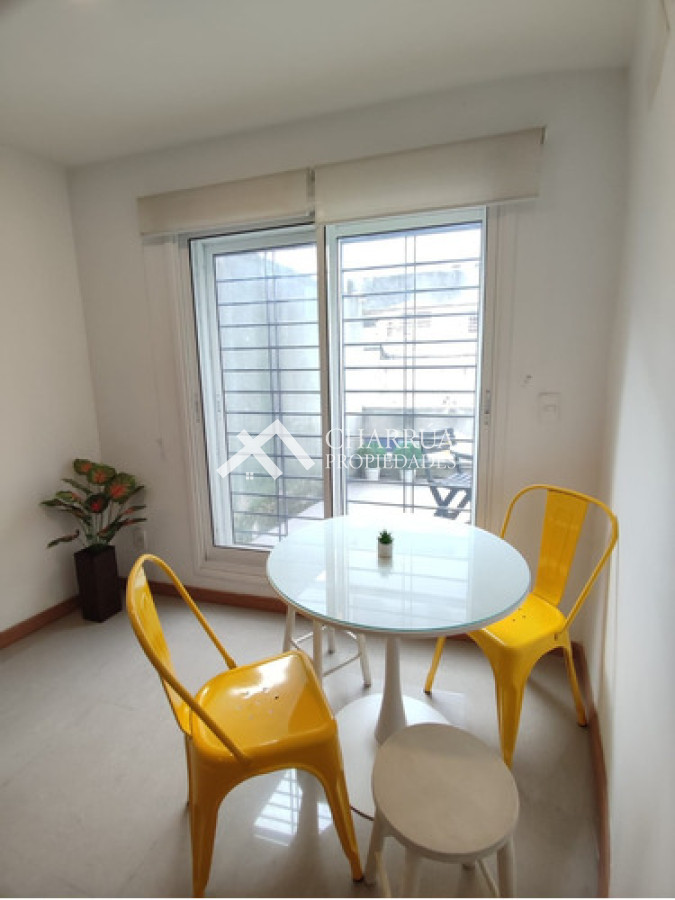 Apartamento ID.56 - Se Alquila Apartamento De 1 Dormitorio Amoblado Con Gran Terraza