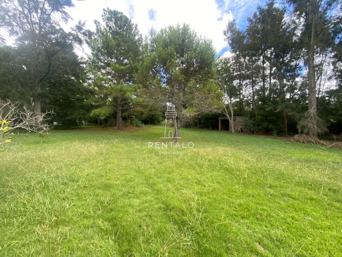 Chacra ID.1304 - Chcra en Venta en la pataia, Punta ballena