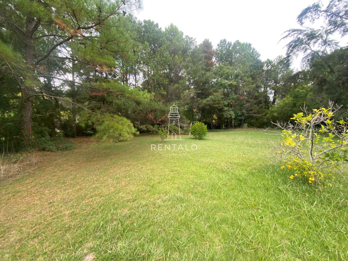 Chacra ID.1304 - Chcra en Venta en la pataia, Punta ballena
