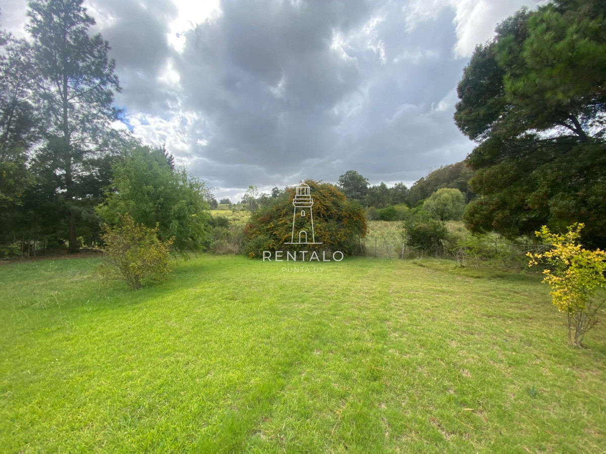 Chacra ID.1304 - Chcra en Venta en la pataia, Punta ballena