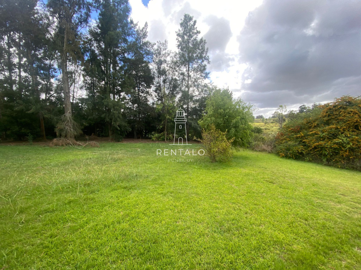 Chacra ID.1304 - Chcra en Venta en la pataia, Punta ballena