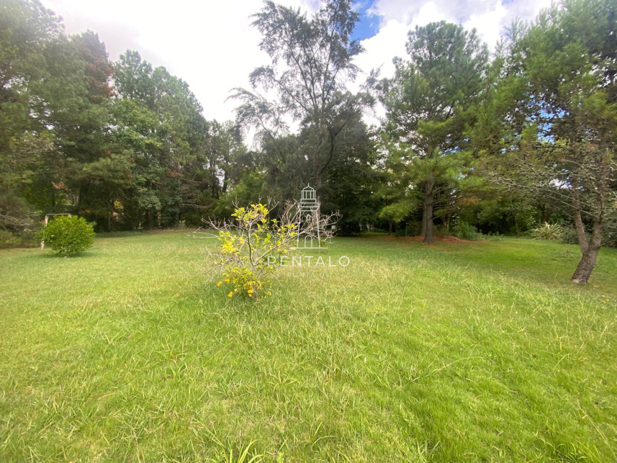 Chacra ID.1304 - Chcra en Venta en la pataia, Punta ballena