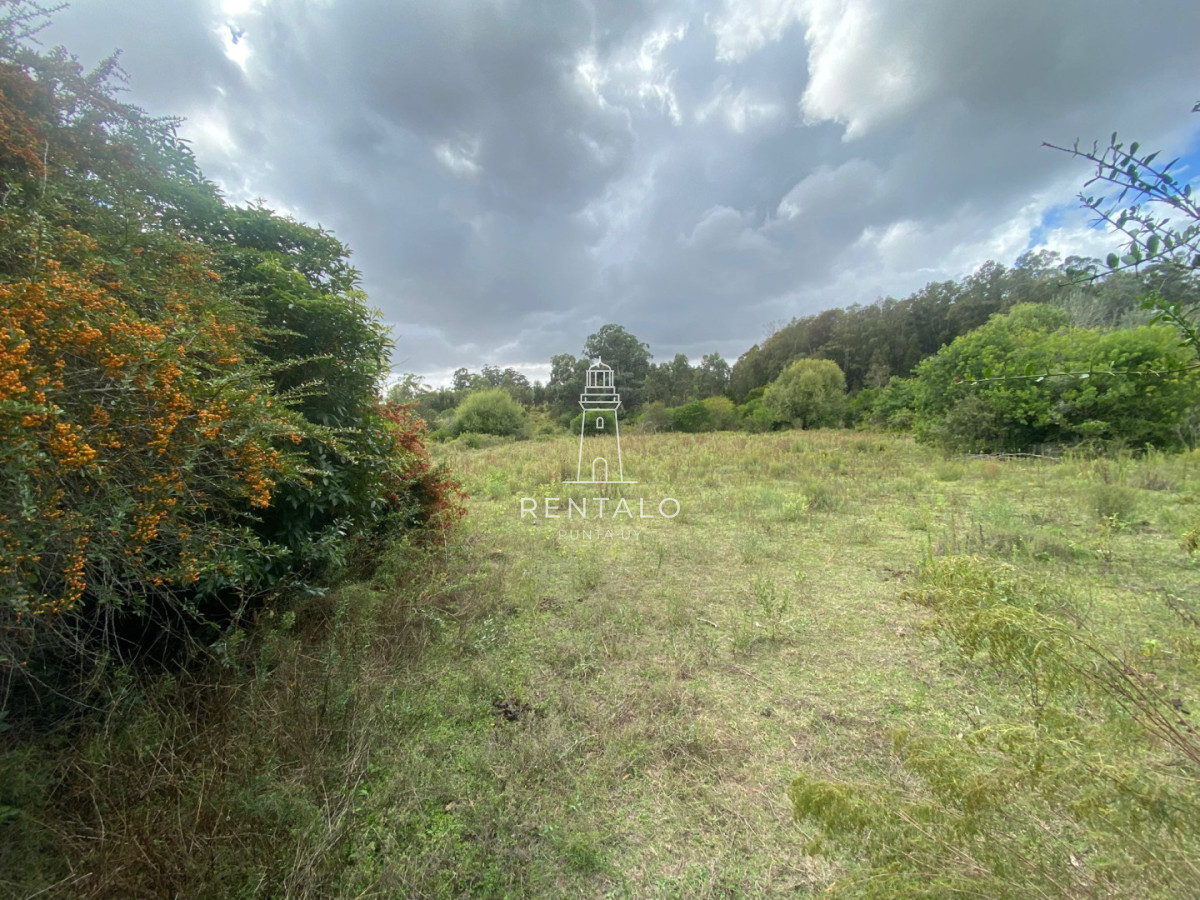 Chacra ID.1304 - Chcra en Venta en la pataia, Punta ballena
