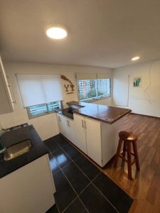 Apartamento en Alquiler - Punta Carretas 