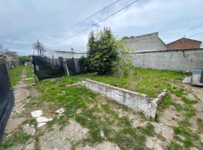Apartamento en Alquiler - Ituzaingo 