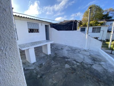 Apartamentos en alquiler Malvín Norte 