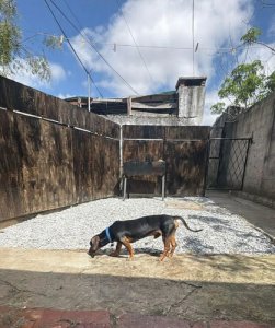 Apartamento en alquiler - Villa Española 