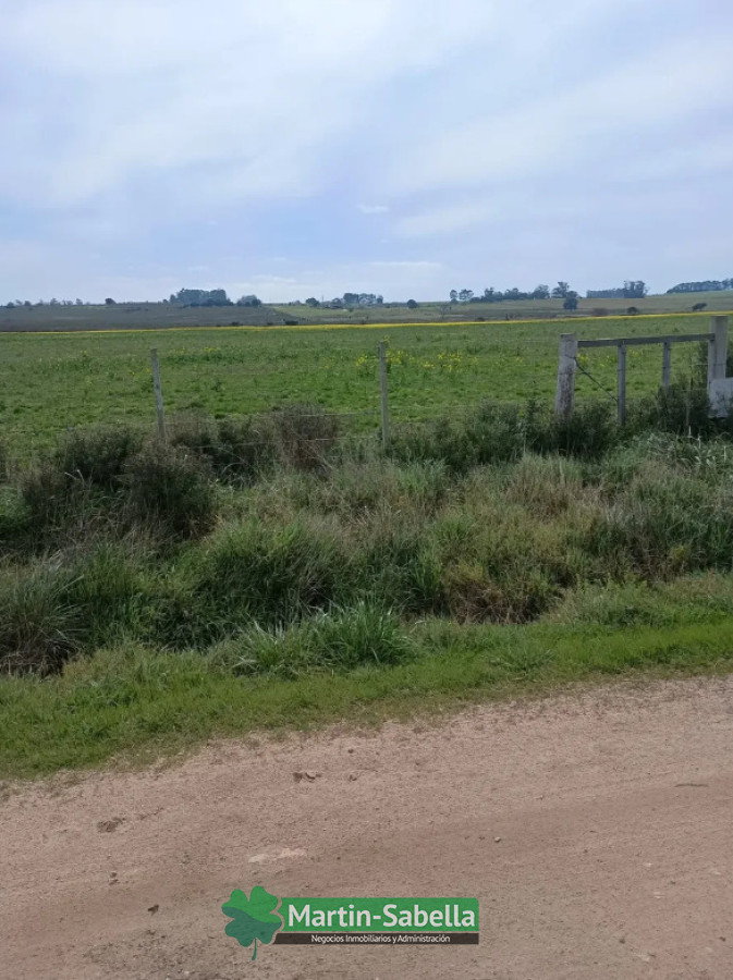 Chacra ID.634 - Chacras en Venta Atlántida Canelones 