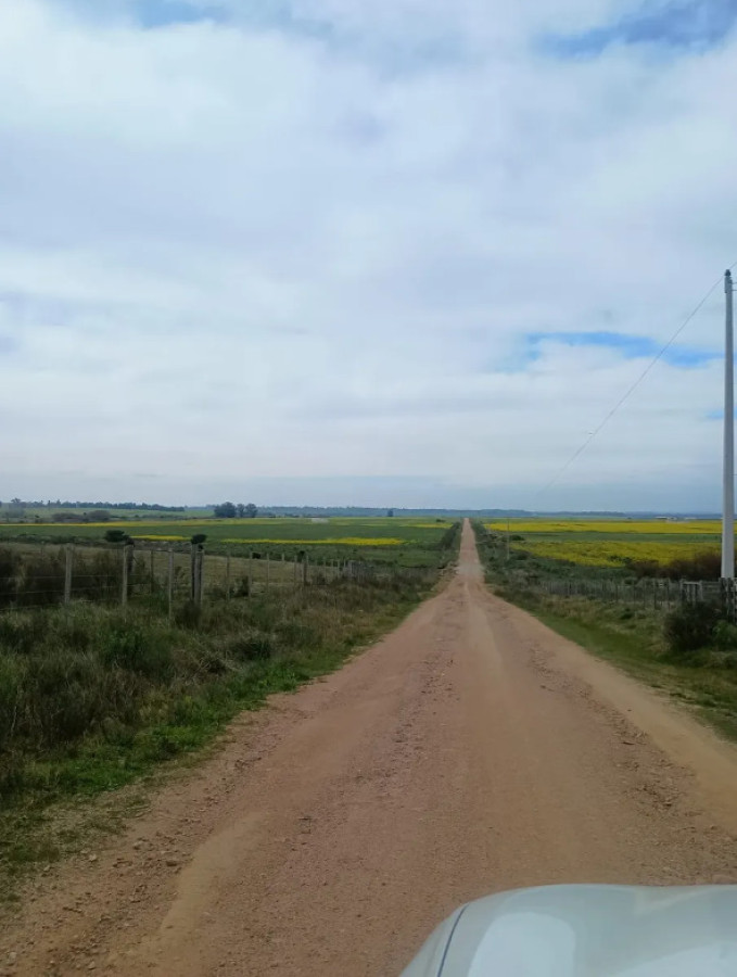 Chacras en Venta Atlántida Canelones 