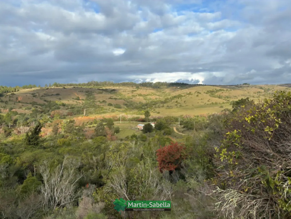 Campo Ref.512/Campo-en-Venta--Lavalleja- - Campo en Venta - Lavalleja 