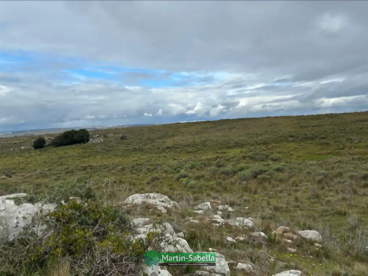 Campo Ref.512/Campo-en-Venta--Lavalleja- - Campo en Venta - Lavalleja 
