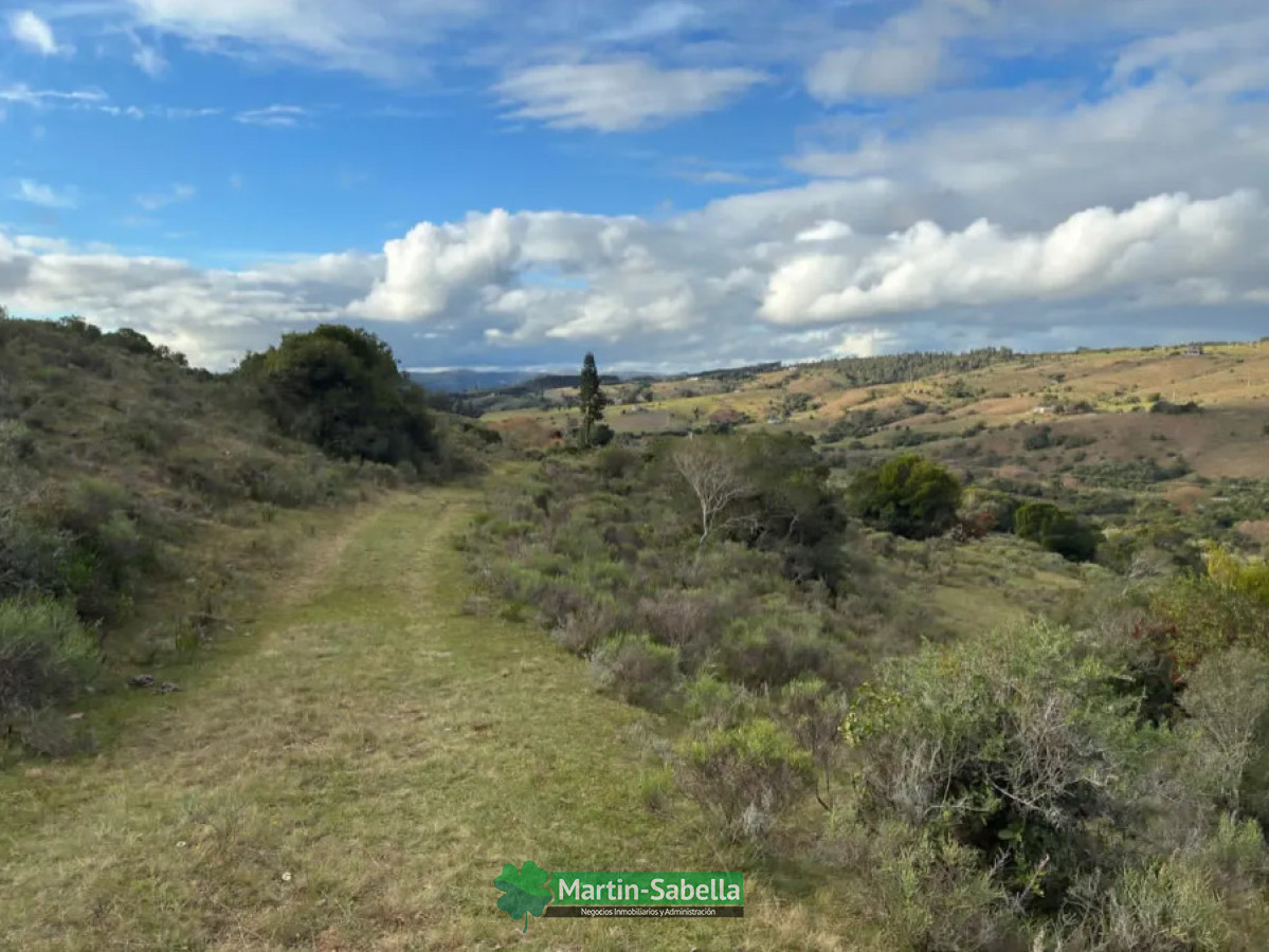 Campo Ref.512/Campo-en-Venta--Lavalleja- - Campo en Venta - Lavalleja 