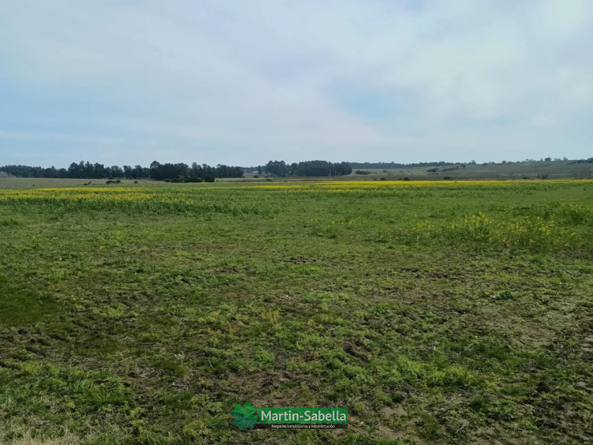 Campo Ref.633/Campos-en-Venta-Atlántida-Canelones- - Campos en Venta Atlántida Canelones 
