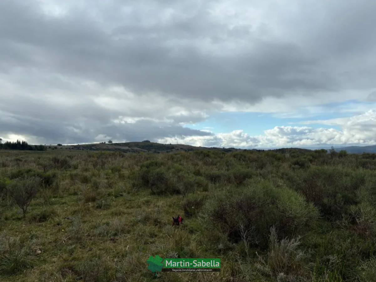 Campo Ref.513/Campo-en-Venta--Maldonado- - Campo en Venta - Maldonado 
